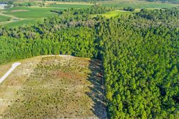 Tbd Tansy Rd. photo 4