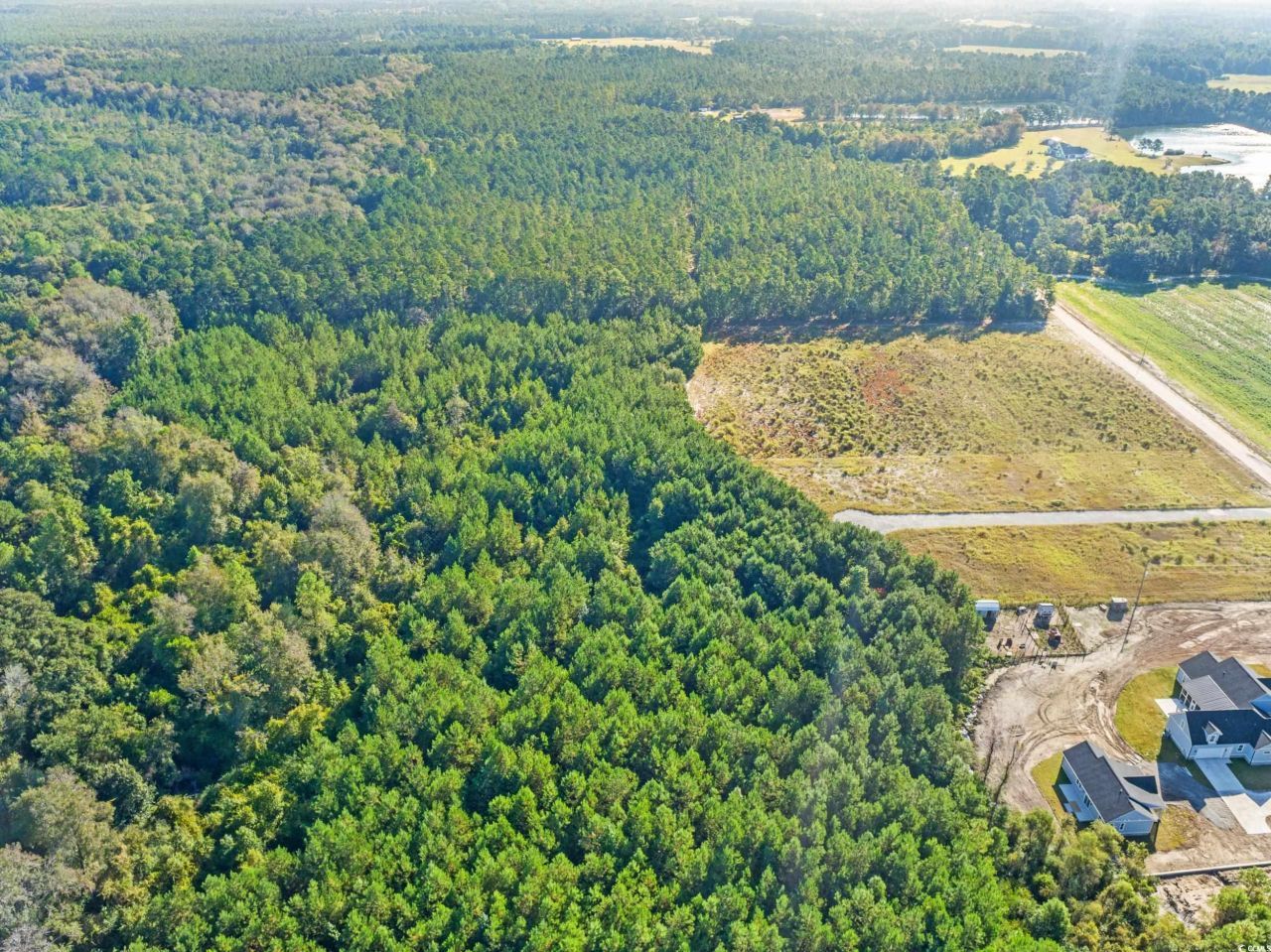 Tbd Tansy Rd. Photo 6