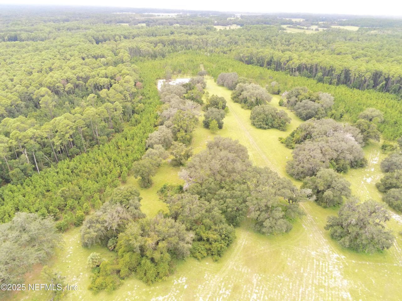 Xxx Union Avenue, Crescent City, FL 32112 Photo