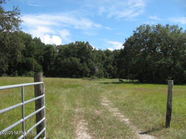 Xxx Union Avenue, Crescent City, FL 32112 Photo