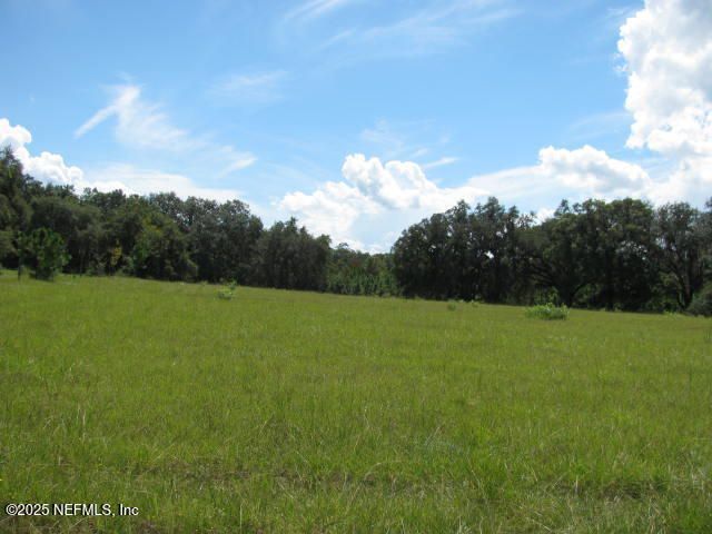 Xxx Union Avenue, Crescent City, FL 32112 Photo