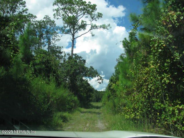 Xxx Union Avenue, Crescent City, FL 32112 Photo