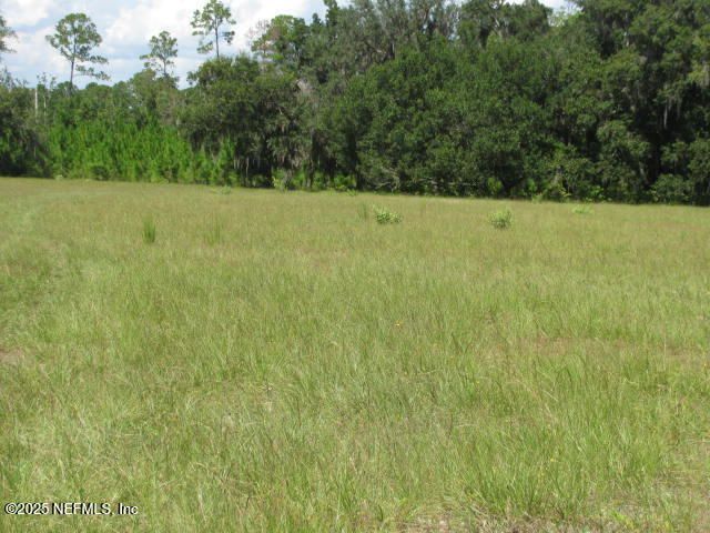 Xxx Union Avenue, Crescent City, FL 32112 Photo