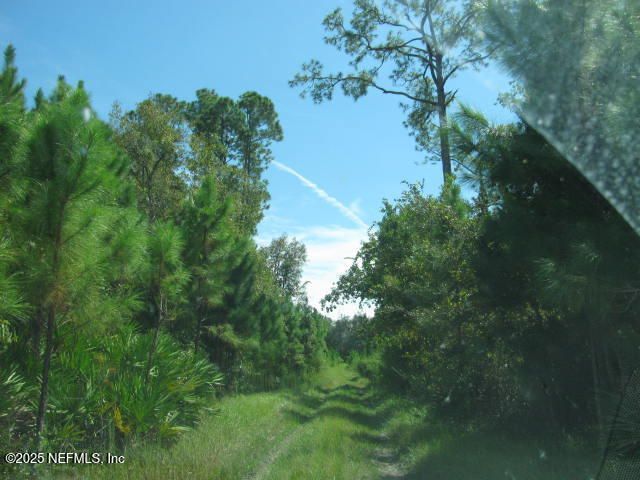 Xxx Union Avenue, Crescent City, FL 32112 Photo