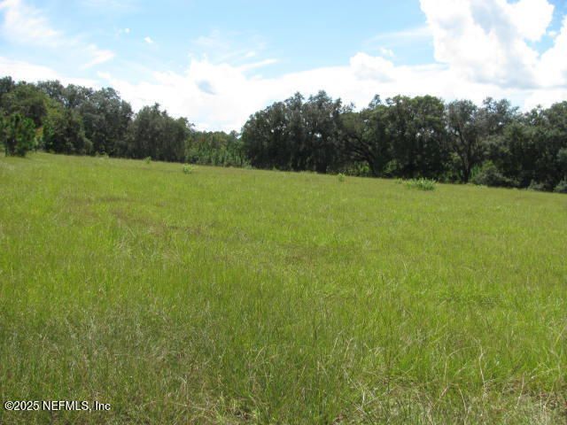 Xxx Union Avenue, Crescent City, FL 32112 Photo