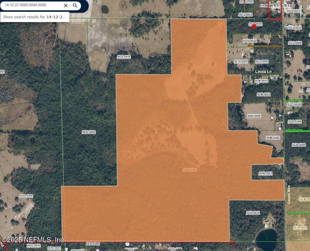 Xxx Union Avenue, Crescent City, FL 32112 Photo