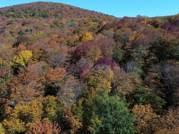 1052 CCC Road, Shrewsbury, VT 05738