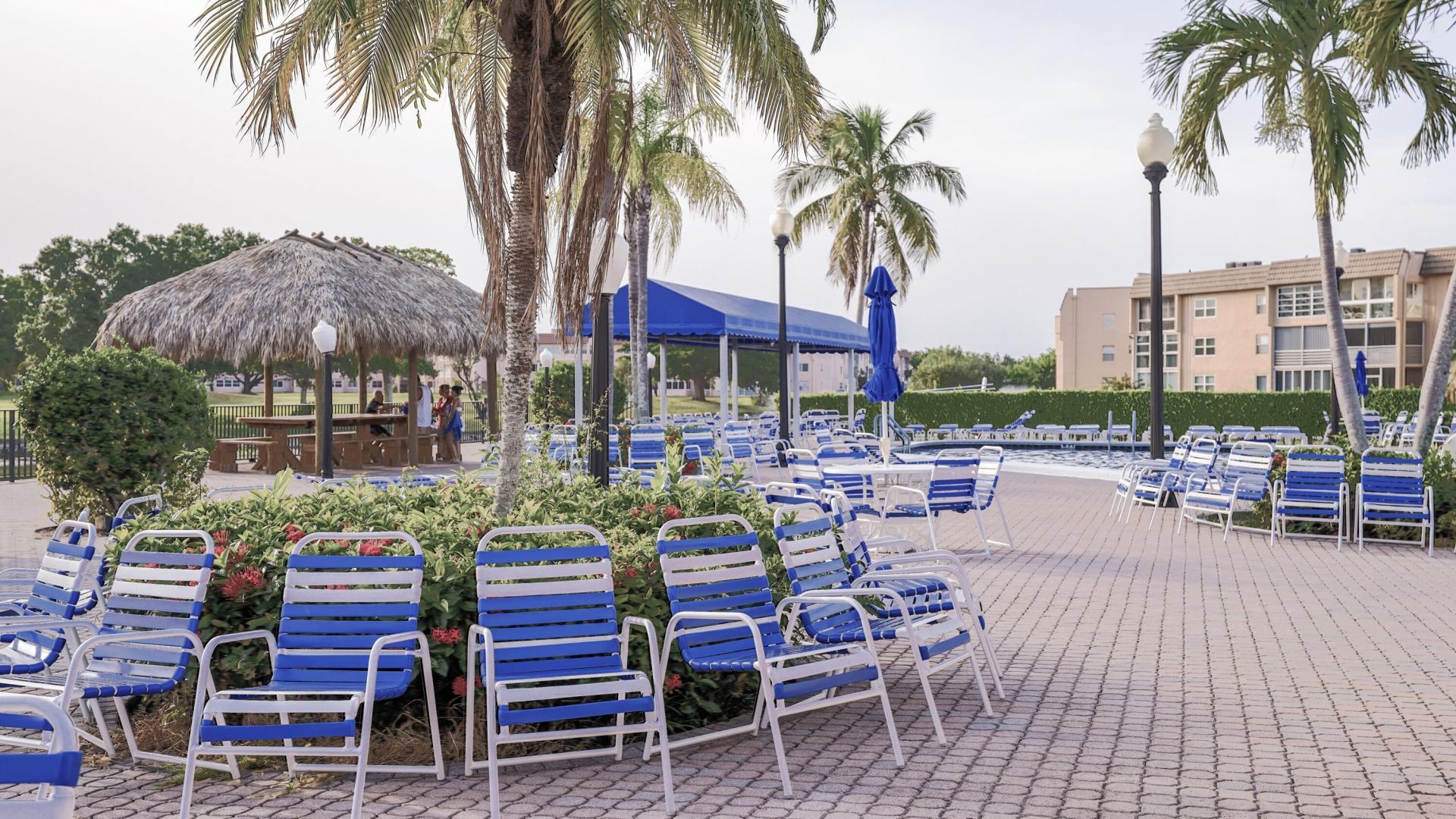 2780 N Pine Island Road, Unit 211, Sunrise, FL 33322 Photo