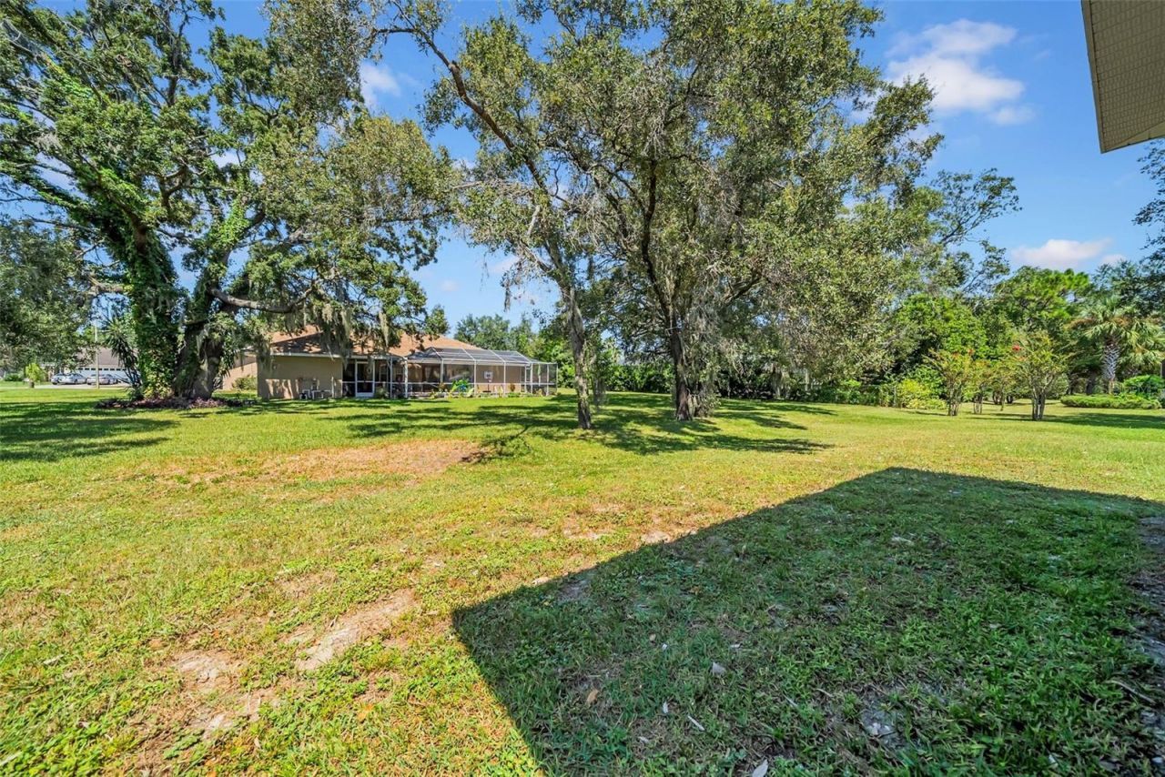 10177 Deer Street, Spring Hill, FL 34608 Photo