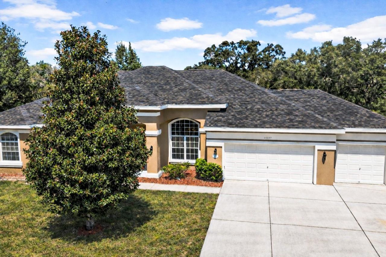 10177 Deer Street, Spring Hill, FL 34608 Photo