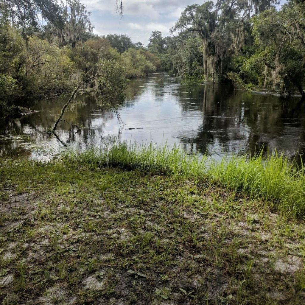 30500 34th Avenue E, Myakka City, FL 34251 Photo