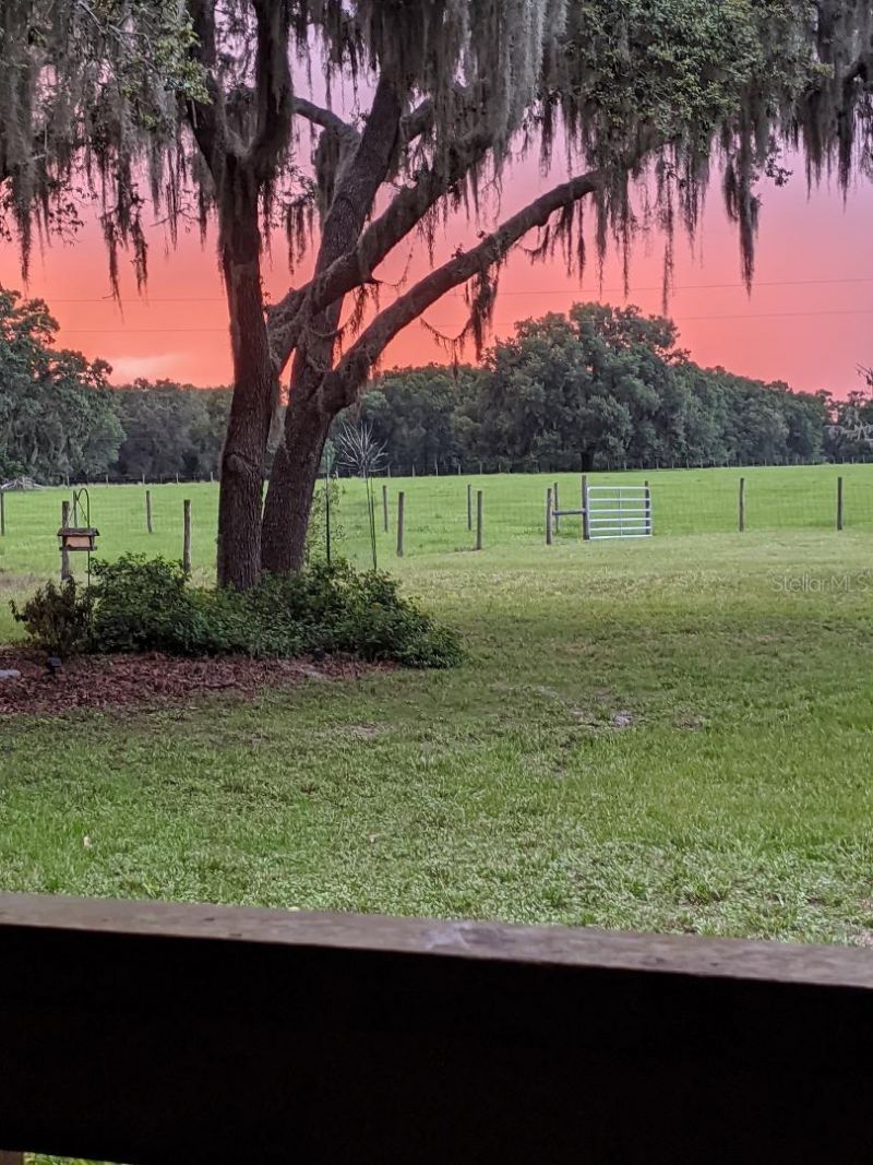 30500 34th Avenue E, Myakka City, FL 34251 Photo