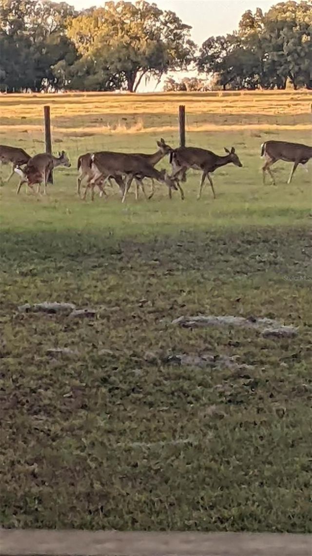 30500 34th Avenue E, Myakka City, FL 34251 Photo