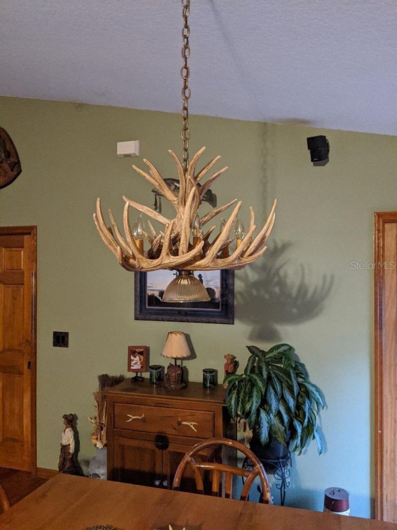 30500 34th Avenue E, Myakka City, FL 34251 Photo