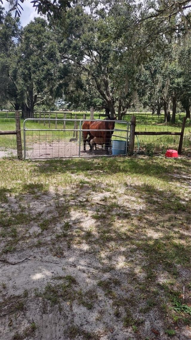 30500 34th Avenue E, Myakka City, FL 34251 Photo