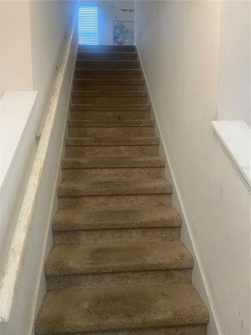 12034 Suburban Sunrise Street, Riverview, FL 33578 Photo