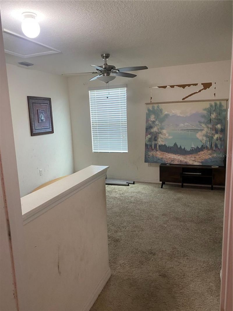 12034 Suburban Sunrise Street, Riverview, FL 33578 Photo
