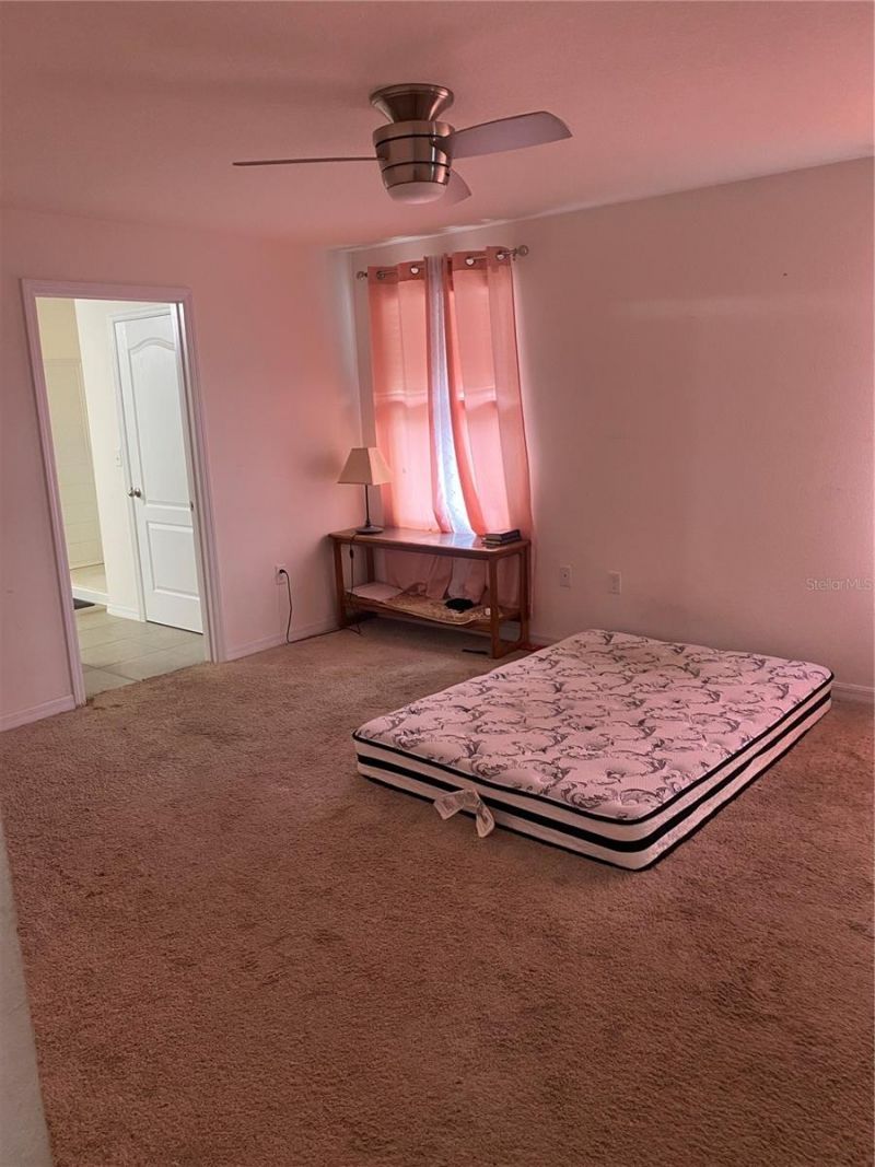 12034 Suburban Sunrise Street, Riverview, FL 33578 Photo