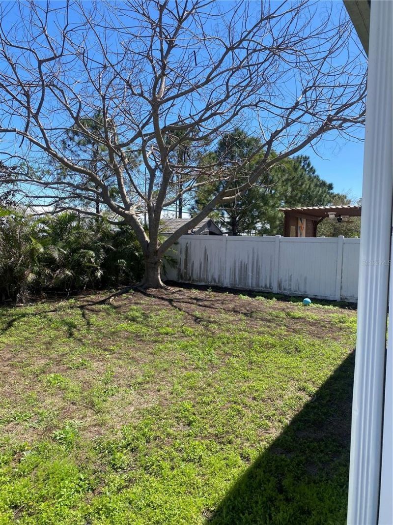 12034 Suburban Sunrise Street, Riverview, FL 33578 Photo
