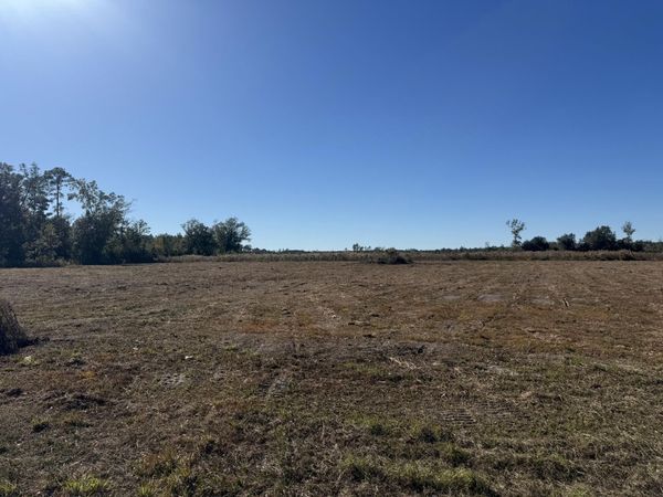 Lot 9 Hwy 71, Wewahitchka, FL 32465
