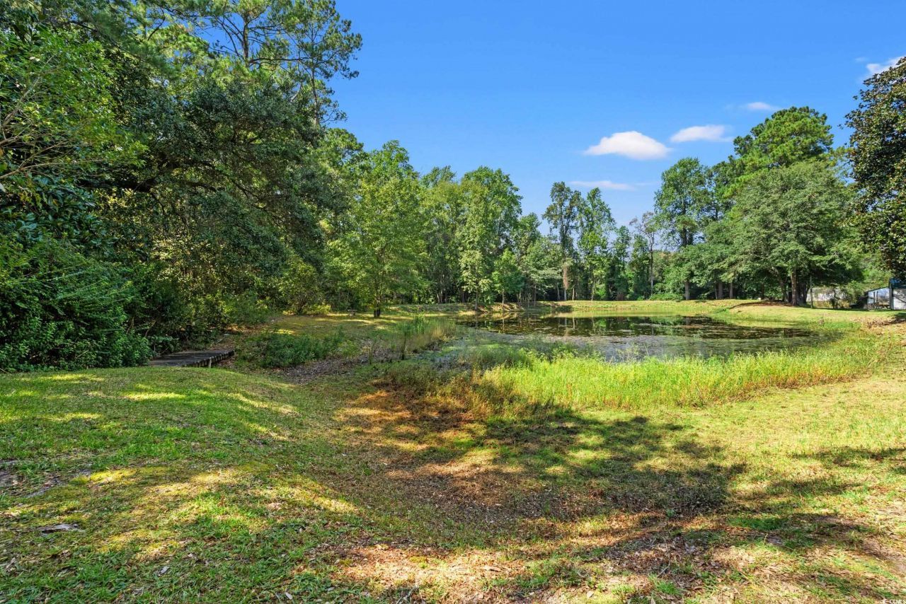 1073 Causey Rd. Photo 28