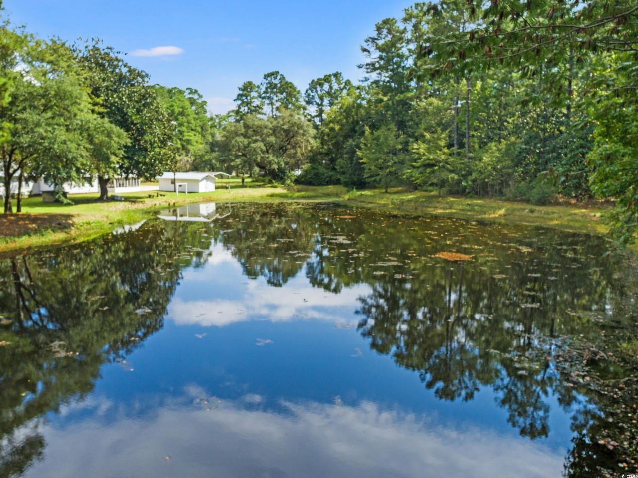 1073 Causey Rd. Photo 34