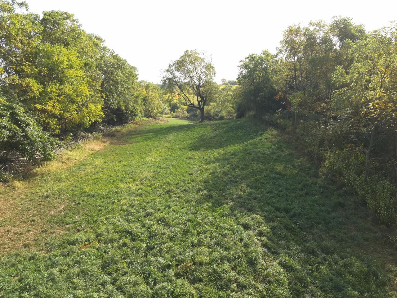 0 Township Hwy 127, Zanesfield, OH 43360 Main Photo