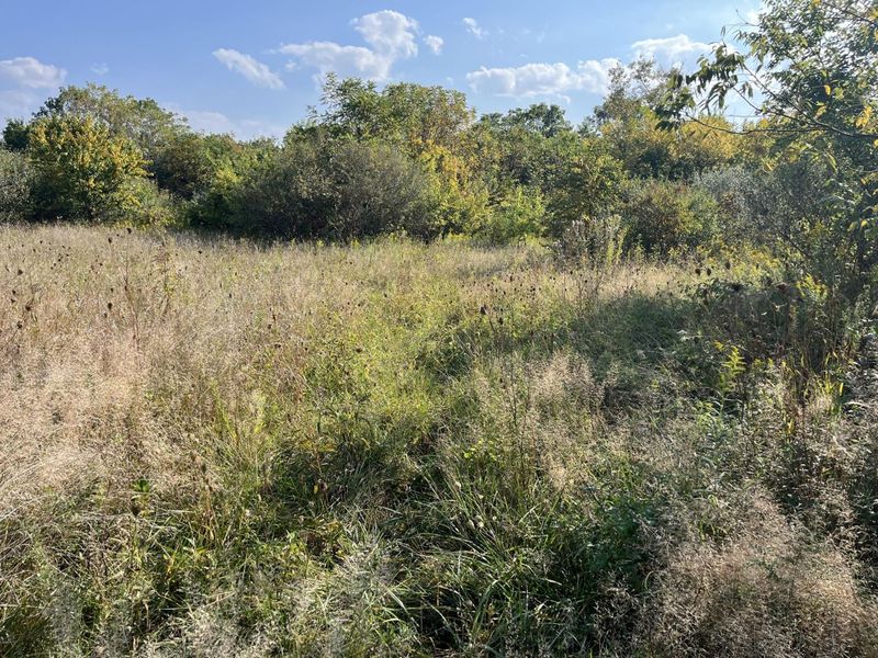 0 Township Hwy 127, Zanesfield, OH 43360 Photo 17