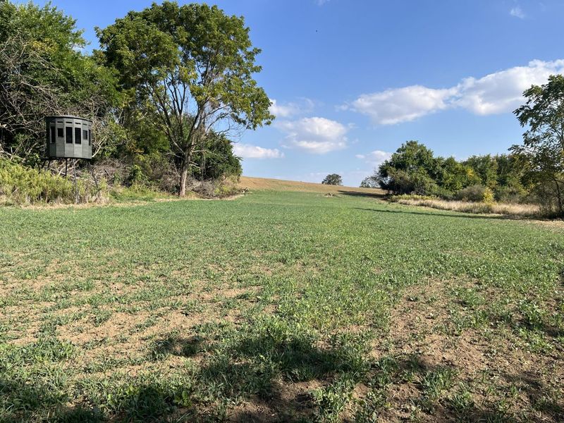 0 Township Hwy 127, Zanesfield, OH 43360 Photo 19