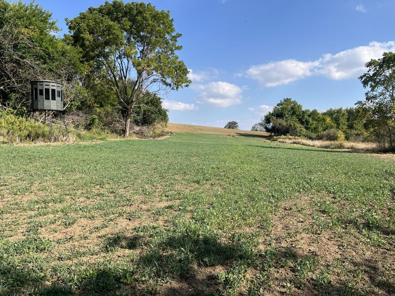 0 Township Hwy 127, Zanesfield, OH 43360 Photo 20