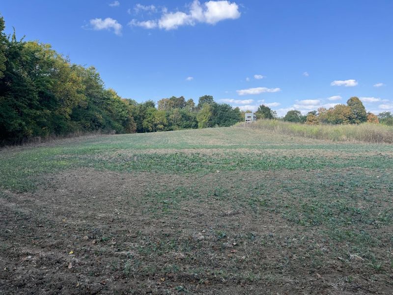 0 Township Hwy 127, Zanesfield, OH 43360 Photo 25