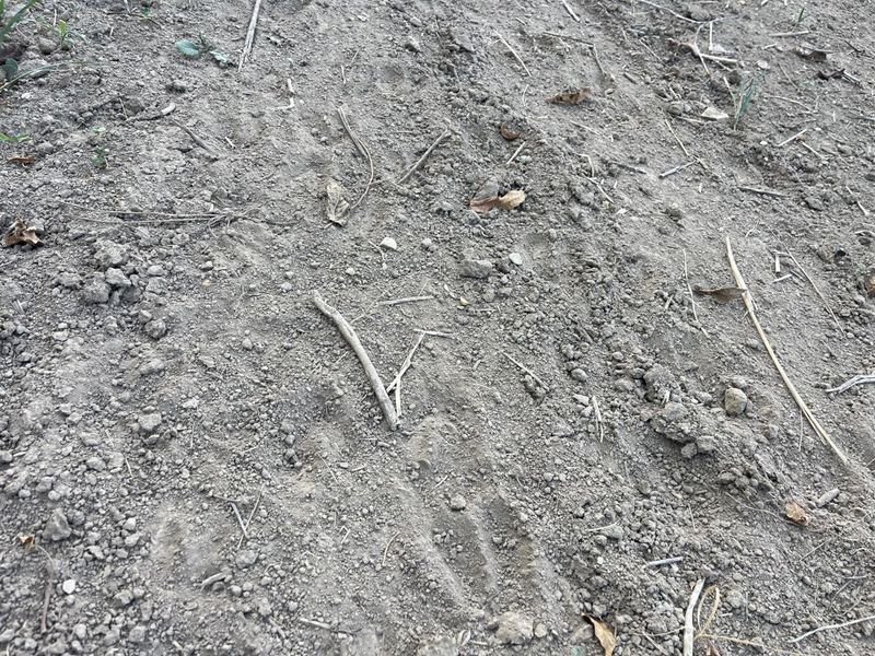 0 Township Hwy 127, Zanesfield, OH 43360 Photo 27