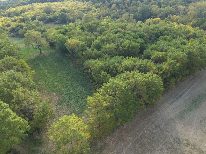 0 Township Hwy 127, Zanesfield, OH 43360 Photo 3