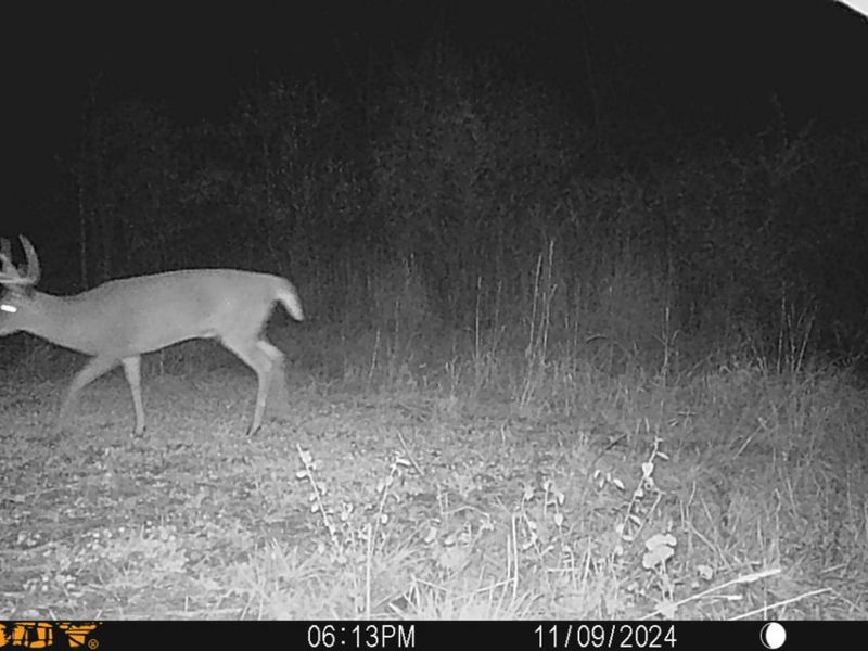 0 Township Hwy 127, Zanesfield, OH 43360 Photo 30