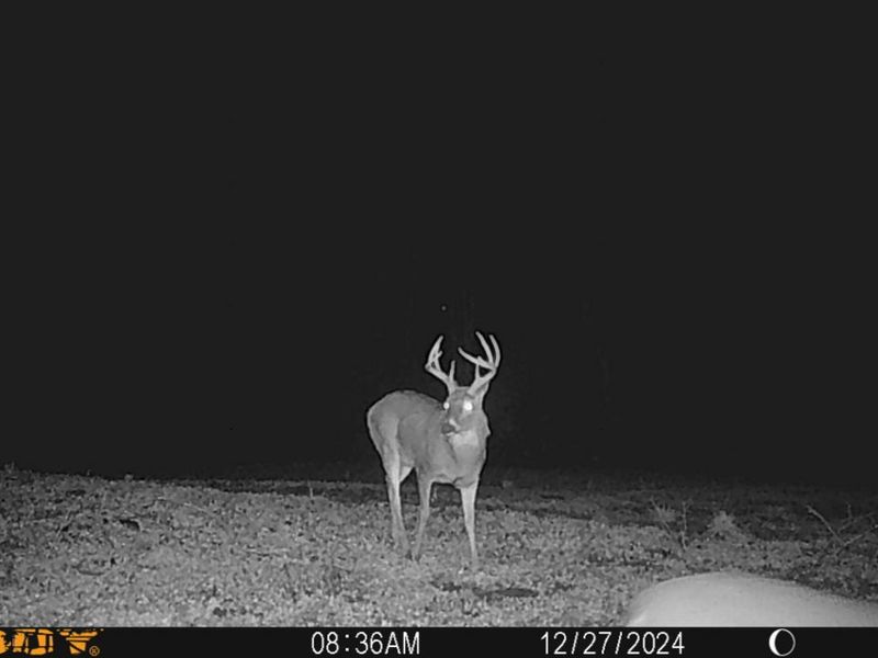 0 Township Hwy 127, Zanesfield, OH 43360 Photo 31