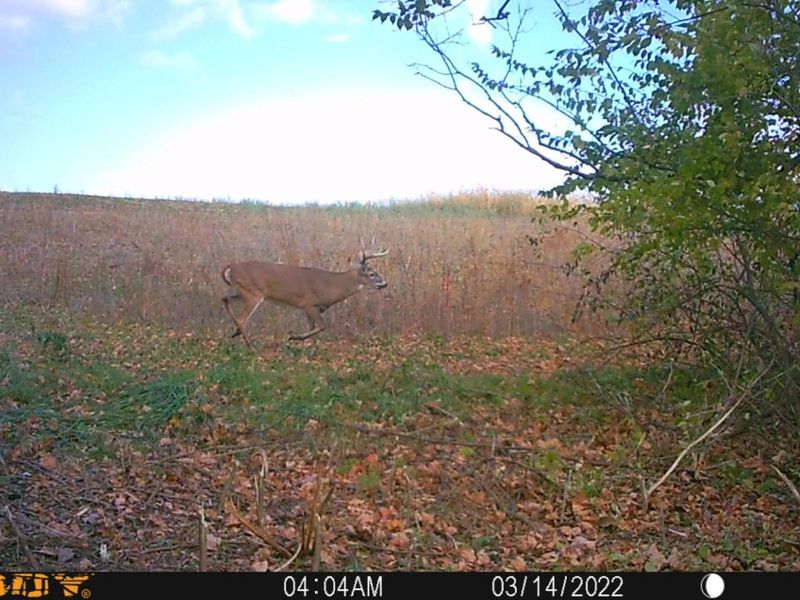 0 Township Hwy 127, Zanesfield, OH 43360 Photo 32