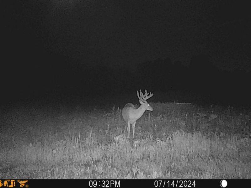 0 Township Hwy 127, Zanesfield, OH 43360 Photo 33