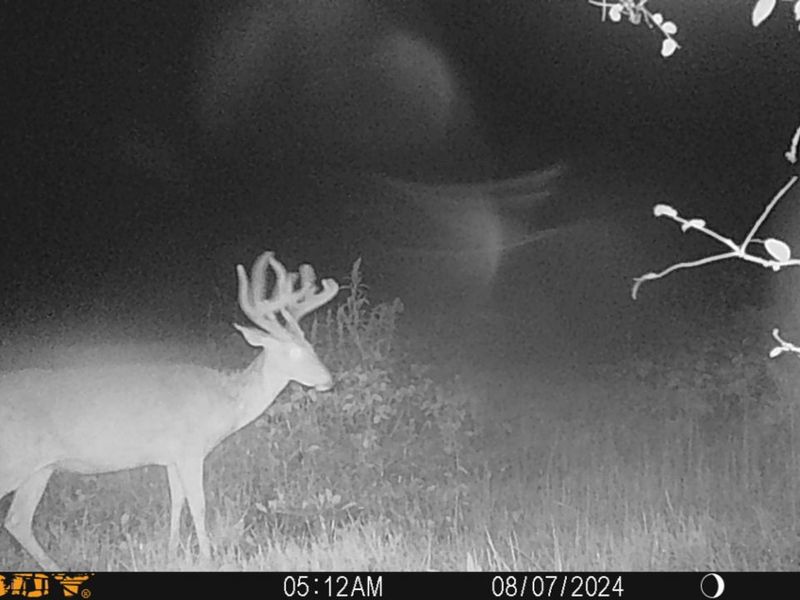 0 Township Hwy 127, Zanesfield, OH 43360 Photo 34