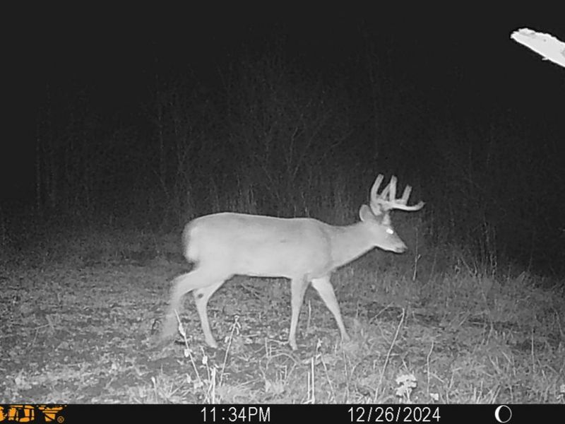 0 Township Hwy 127, Zanesfield, OH 43360 Photo 35