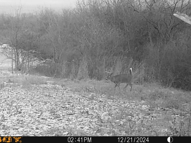 0 Township Hwy 127, Zanesfield, OH 43360 Photo 36