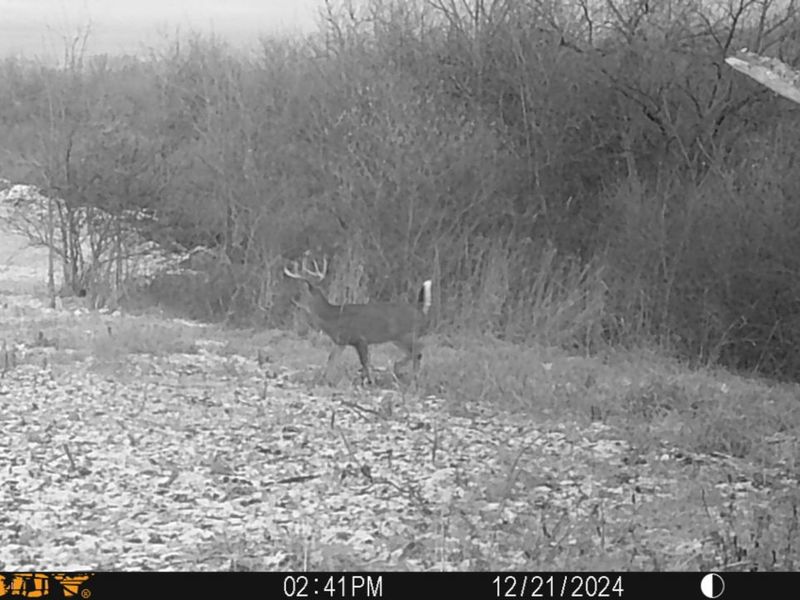 0 Township Hwy 127, Zanesfield, OH 43360 Photo 37