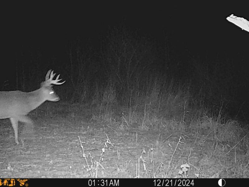 0 Township Hwy 127, Zanesfield, OH 43360 Photo 38