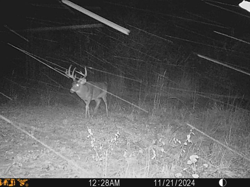 0 Township Hwy 127, Zanesfield, OH 43360 Photo 39