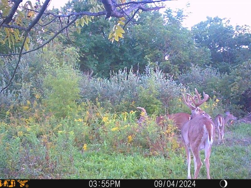 0 Township Hwy 127, Zanesfield, OH 43360 Photo 41