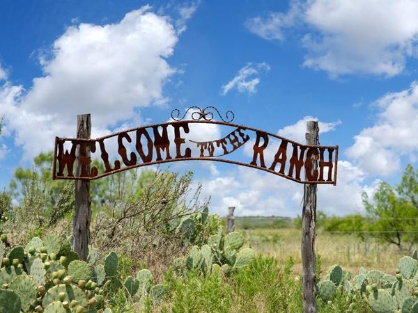 15055 County Road 306, Baird, TX 76464