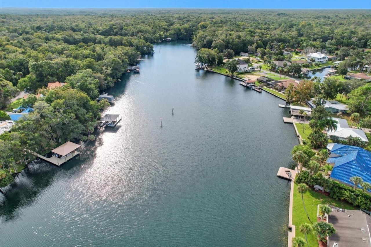 4287 S Purslane Drive, Homosassa, FL 34448 Photo