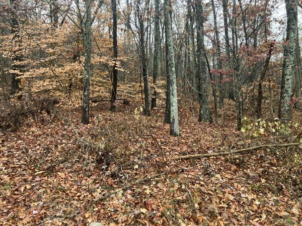 5 Timber Ridge, Kimball, TN 37347