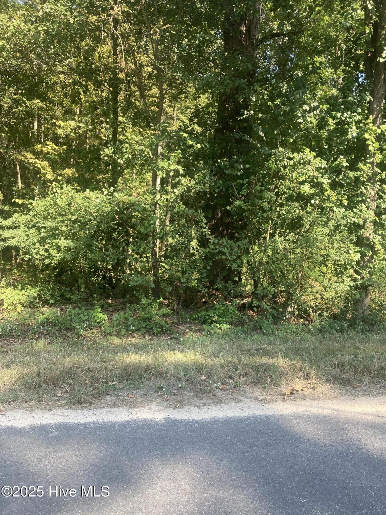 Tbd Cedar Lane, Laurinburg, NC 28352 Main Photo