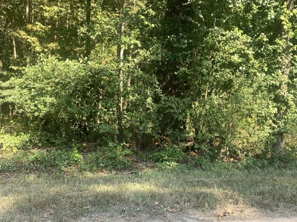 Tbd Cedar Lane, Laurinburg, NC 28352