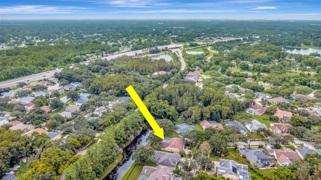 5622 Glencrest Boulevard, Tampa, FL 33625 Photo